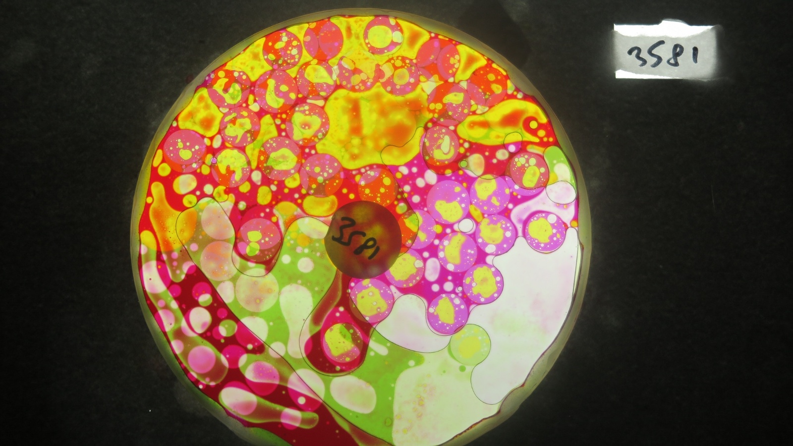 BV3581 bubble vision oil wheel